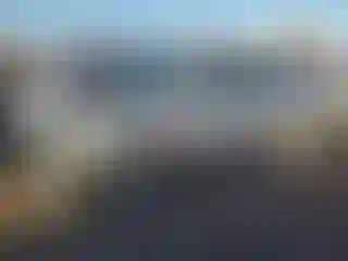 Vehicle Image- 2008 Honda Accord