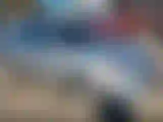 Vehicle Image- 2008 Honda Accord