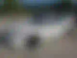 Vehicle Image- 2008 Honda Accord