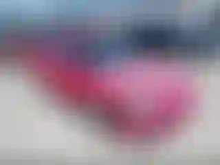 Vehicle Image- 1995 Honda Civic