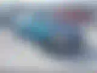 Vehicle Image- 1995 Honda Civic