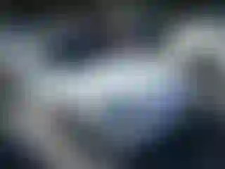 Vehicle Image- 1995 Honda Civic