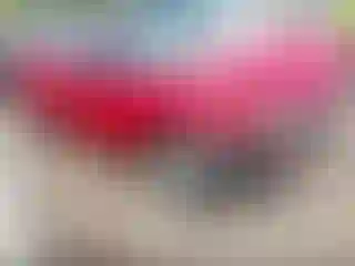 Vehicle Image- 1994 Honda Civic