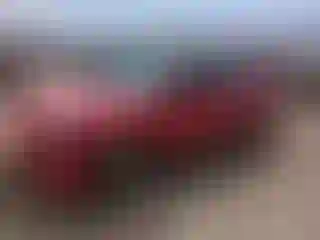 Vehicle Image- 1995 Honda Civic