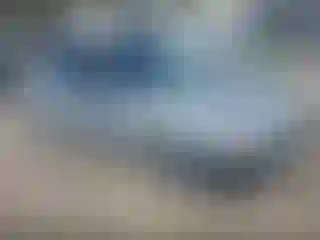 Vehicle Image- 1995 Honda Civic