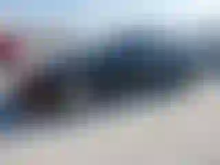 Vehicle Image- 1994 Honda Civic