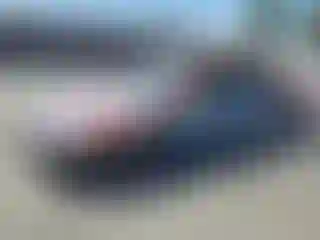 Vehicle Image- 1995 Honda Civic