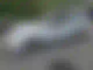 Vehicle Image- 1997 Honda Civic