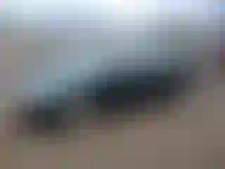 Vehicle Image- 2000 Honda Civic