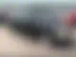 Vehicle Image- 2000 Honda Civic