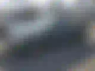 Vehicle Image- 2001 Honda Civic