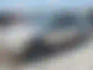 Vehicle Image- 2002 Honda Civic