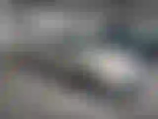 Vehicle Image- 2001 Honda Civic