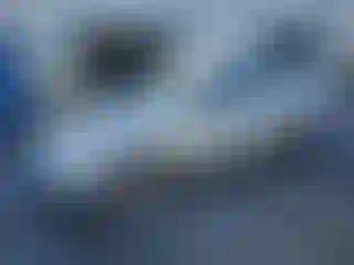 Vehicle Image- 2003 Honda Civic