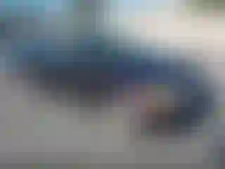 Vehicle Image- 2001 Honda Civic