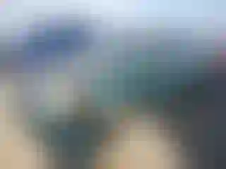 Vehicle Image- 2001 Honda Civic