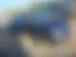 Vehicle Image- 2003 Honda Civic