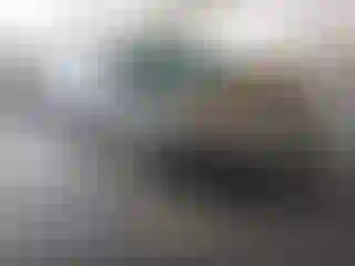 Vehicle Image- 2004 Honda Civic