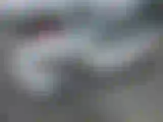 Vehicle Image- 2005 Honda Civic