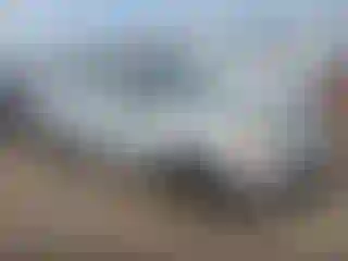 Vehicle Image- 2002 Honda Civic