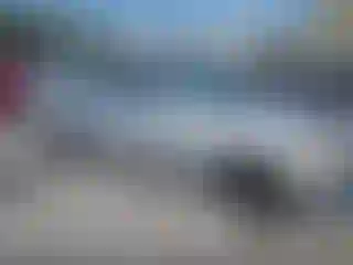 Vehicle Image- 2002 Honda Civic