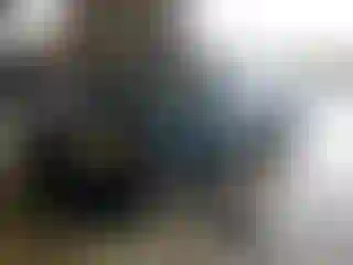 Vehicle Image- 2002 Honda Civic