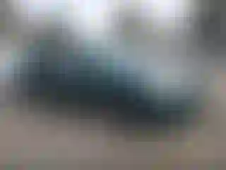 Vehicle Image- 2002 Honda Civic