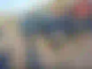 Vehicle Image- 2004 Honda Civic