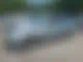 Vehicle Image- 2004 Honda Civic