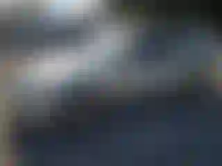 Vehicle Image- 2004 Honda Civic