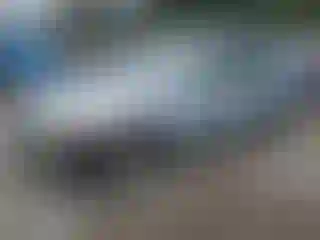 Vehicle Image- 2005 Honda Civic