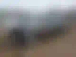 Vehicle Image- 2004 Honda Civic