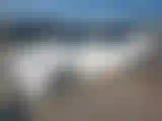 Vehicle Image- 2004 Honda Civic