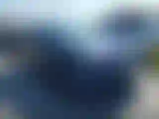 Vehicle Image- 2008 Honda Civic