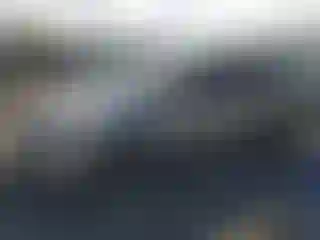 Vehicle Image- 2006 Honda Civic