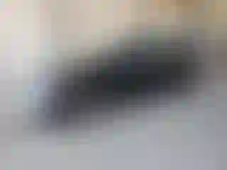 Vehicle Image- 2007 Honda Civic