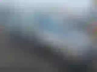 Vehicle Image- 2007 Honda Civic