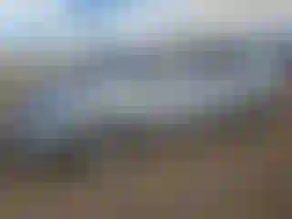 Vehicle Image- 2007 Honda Civic