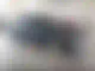 Vehicle Image- 2006 Honda Civic