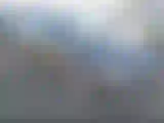 Vehicle Image- 2008 Honda Civic