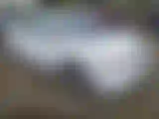 Vehicle Image- 2008 Honda Civic