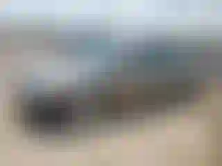 Vehicle Image- 2008 Honda Civic
