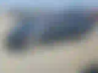 Vehicle Image- 2009 Honda Civic