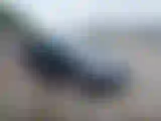 Vehicle Image- 2006 Honda Civic