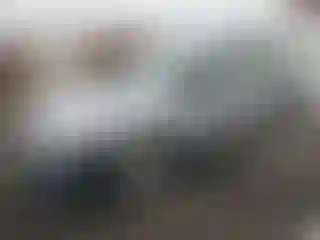 Vehicle Image- 2007 Honda Civic