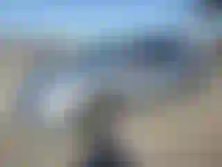 Vehicle Image- 2007 Honda Civic