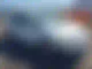 Vehicle Image- 2008 Honda Civic