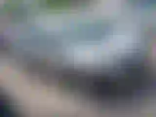Vehicle Image- 2009 Honda Civic