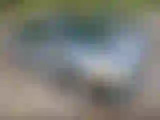 Vehicle Image- 2006 Honda Civic