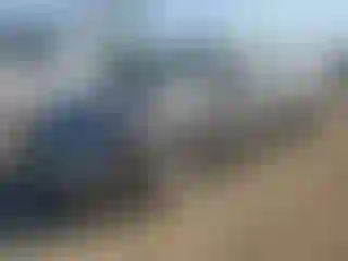 Vehicle Image- 2008 Honda Civic